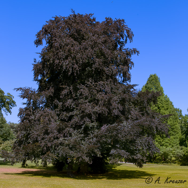 2013-07-20_002