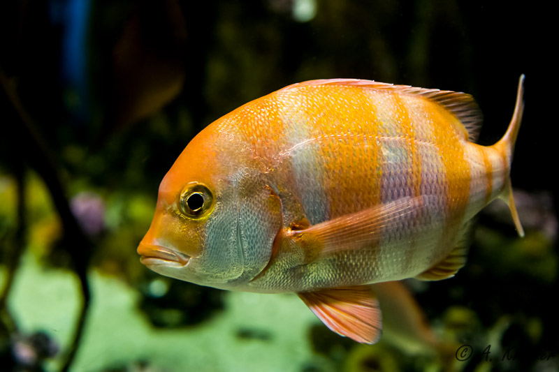 2013-09-20_071