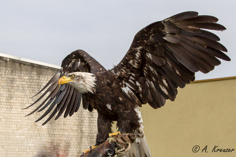2013-09-28_024-PS