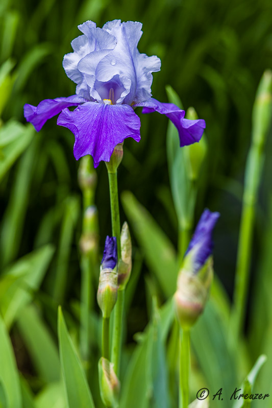 2014-04-27_045