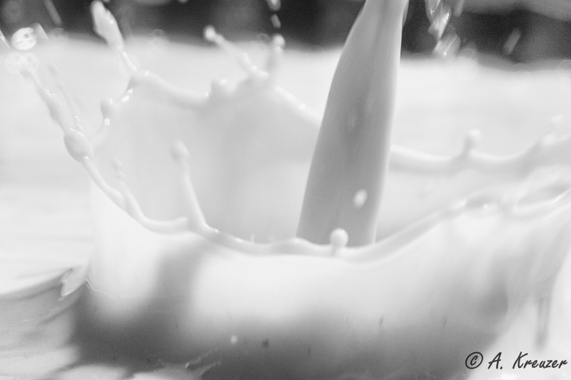 2014-06-01_039