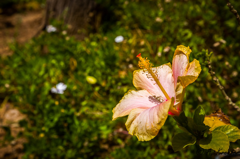 2014-05-25_047