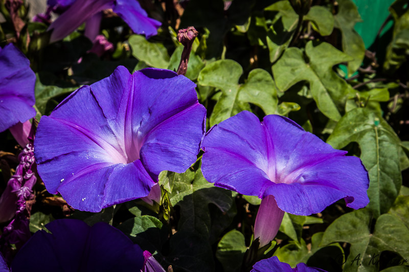 2014-05-27_013