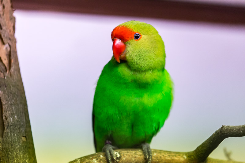 2017-11-04-120144_014a