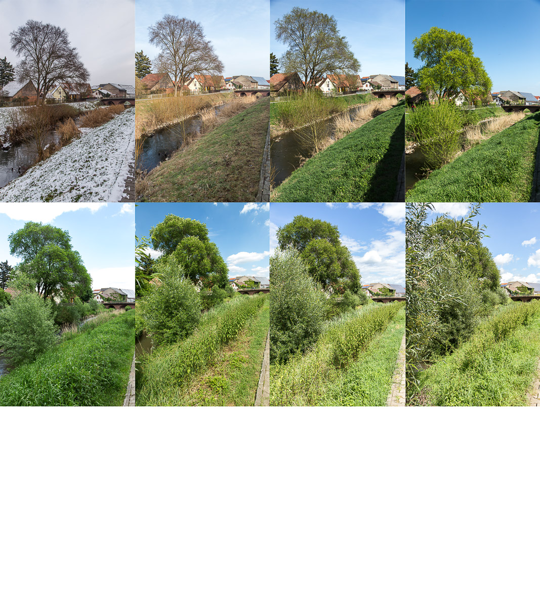 12Pics-4