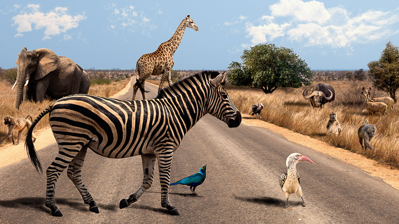 ComposingSüdafrika